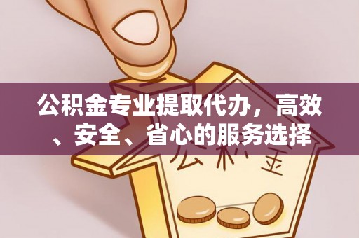 萨尔图公积金专业提取代办，高效、安全、省心的服务选择