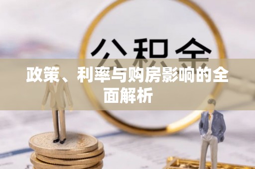 萨尔图政策、利率与购房影响的全面解析