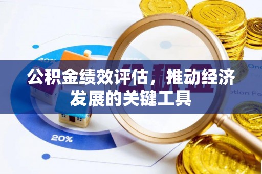 萨尔图公积金绩效评估，推动经济发展的关键工具