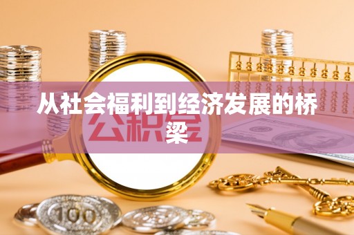 萨尔图从社会福利到经济发展的桥梁