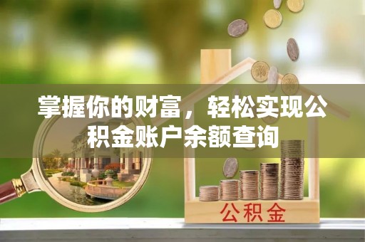 萨尔图掌握你的财富，轻松实现公积金账户余额查询