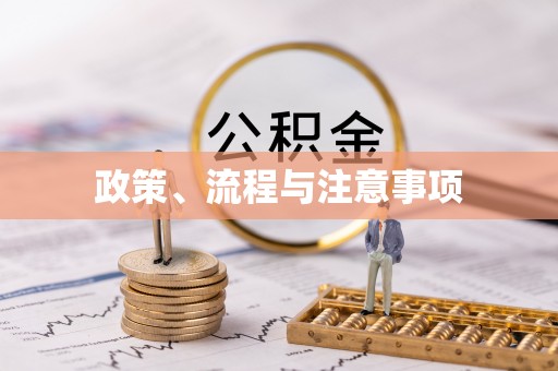 萨尔图政策、流程与注意事项