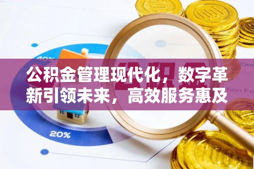 萨尔图公积金管理现代化，数字革新引领未来，高效服务惠及民生