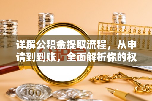 萨尔图详解公积金提取流程，从申请到到账，全面解析你的权益与操作步骤