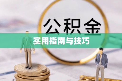 萨尔图实用指南与技巧