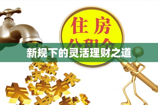 萨尔图新规下的灵活理财之道