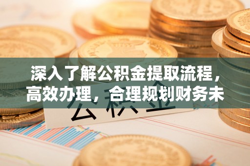 萨尔图深入了解公积金提取流程，高效办理，合理规划财务未来