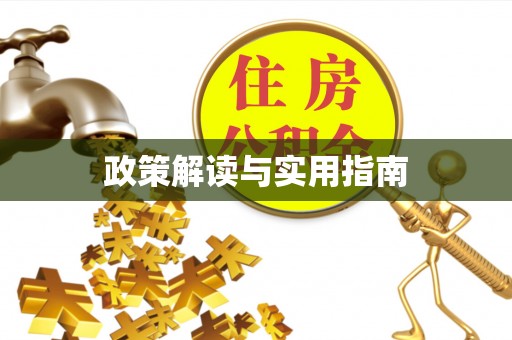 萨尔图政策解读与实用指南