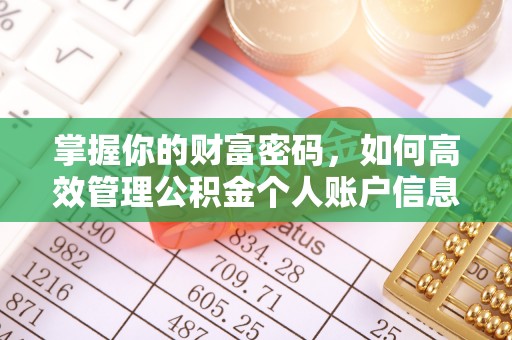 萨尔图掌握你的财富密码，如何高效管理公积金个人账户信息