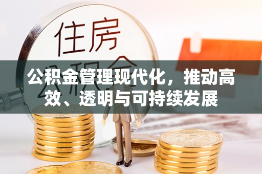 萨尔图公积金管理现代化，推动高效、透明与可持续发展