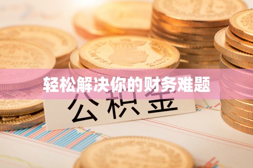 萨尔图轻松解决你的财务难题