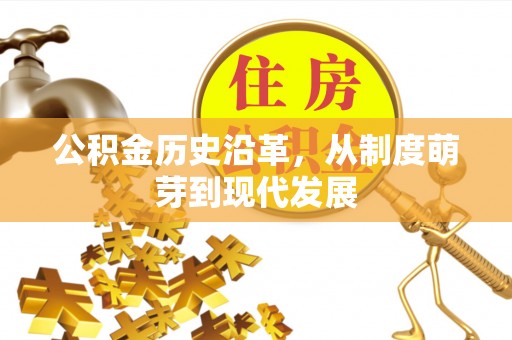 萨尔图公积金历史沿革，从制度萌芽到现代发展