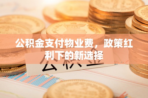 萨尔图公积金支付物业费，政策红利下的新选择