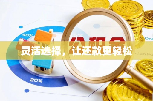 萨尔图灵活选择，让还款更轻松