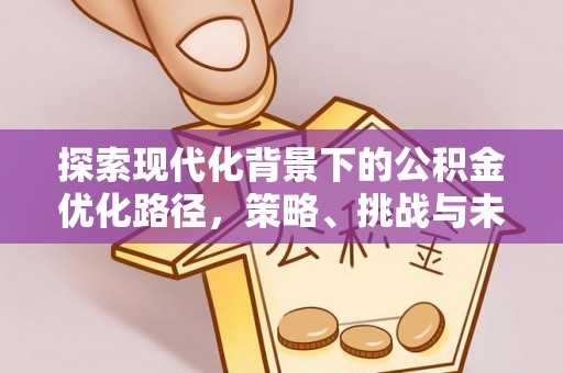 萨尔图探索现代化背景下的公积金优化路径，策略、挑战与未来展望