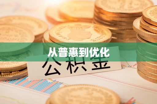 萨尔图从普惠到优化