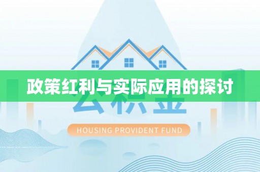 萨尔图政策红利与实际应用的探讨