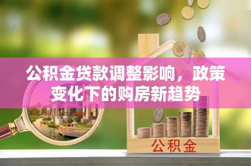 萨尔图公积金贷款调整影响，政策变化下的购房新趋势