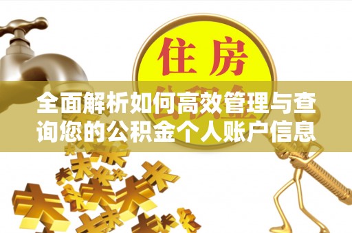 萨尔图全面解析如何高效管理与查询您的公积金个人账户信息