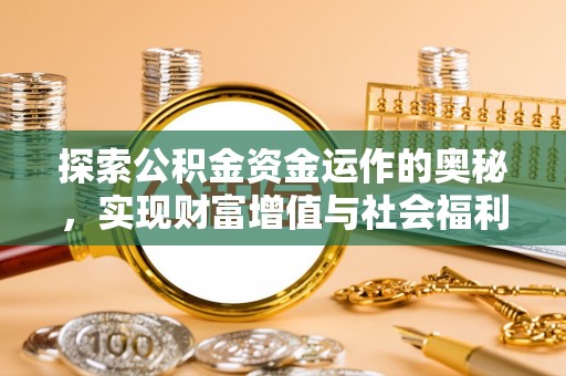 萨尔图探索公积金资金运作的奥秘，实现财富增值与社会福利双赢