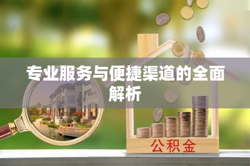 萨尔图专业服务与便捷渠道的全面解析
