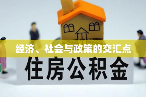 萨尔图经济、社会与政策的交汇点