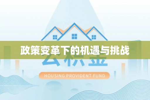 萨尔图政策变革下的机遇与挑战