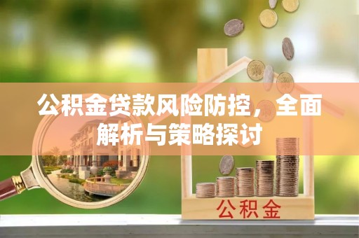 萨尔图公积金贷款风险防控，全面解析与策略探讨