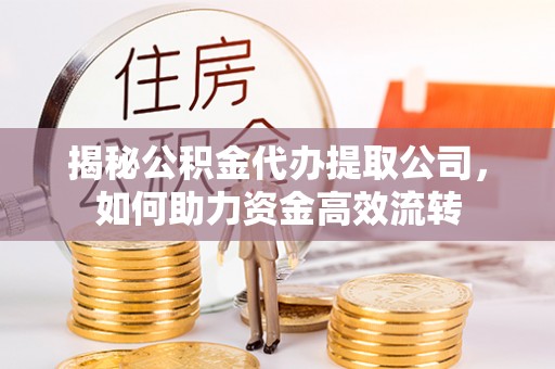 萨尔图揭秘公积金代办提取公司，如何助力资金高效流转