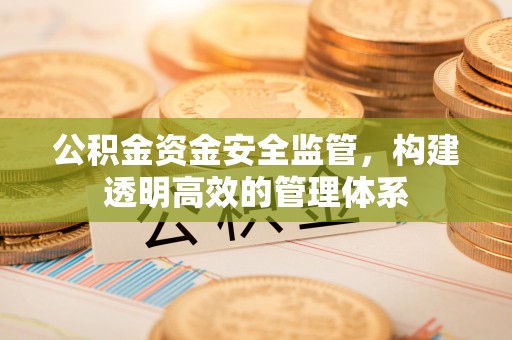 萨尔图公积金资金安全监管，构建透明高效的管理体系
