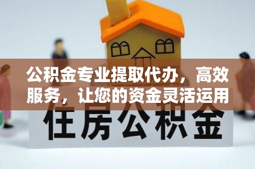 萨尔图公积金专业提取代办，高效服务，让您的资金灵活运用