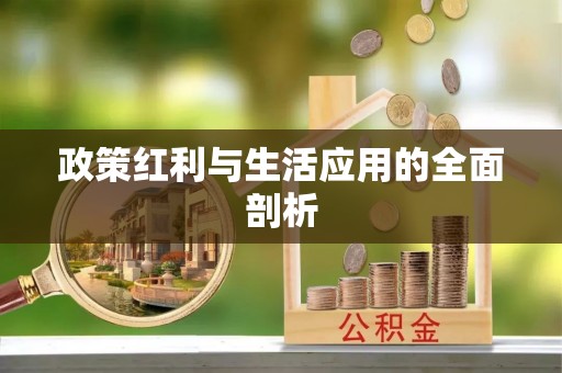 萨尔图政策红利与生活应用的全面剖析