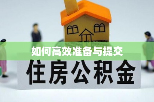 萨尔图如何高效准备与提交