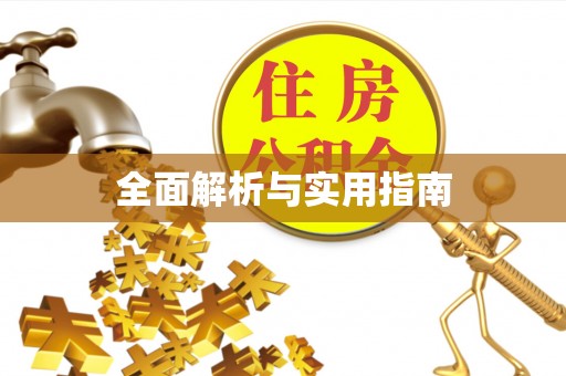 萨尔图全面解析与实用指南