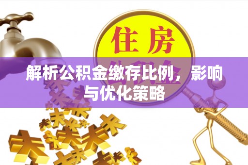 萨尔图解析公积金缴存比例，影响与优化策略