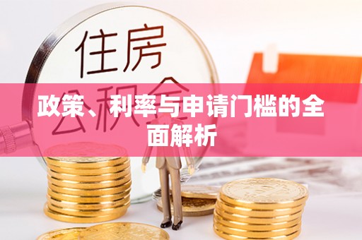萨尔图政策、利率与申请门槛的全面解析
