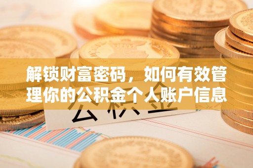 萨尔图解锁财富密码，如何有效管理你的公积金个人账户信息