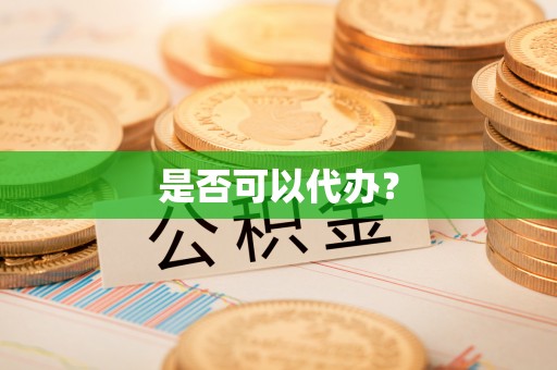 萨尔图是否可以代办？