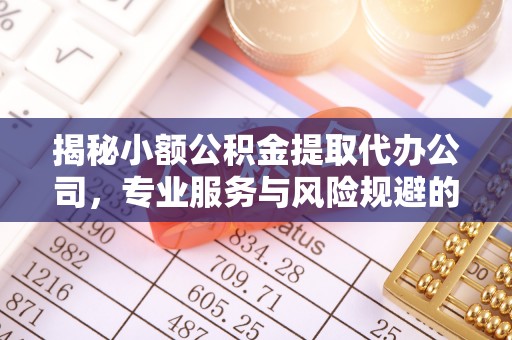 萨尔图揭秘小额公积金提取代办公司，专业服务与风险规避的平衡艺术
