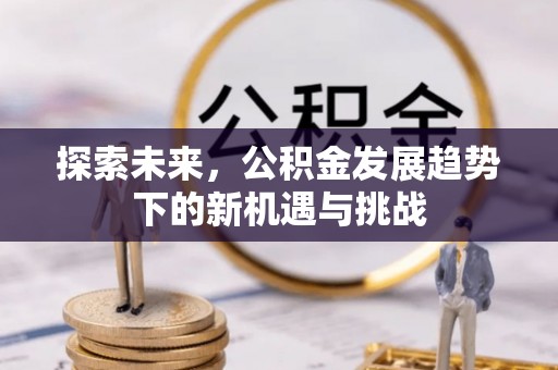 萨尔图探索未来，公积金发展趋势下的新机遇与挑战