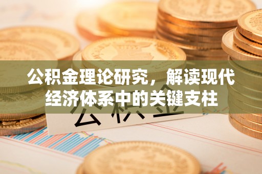 萨尔图公积金理论研究，解读现代经济体系中的关键支柱