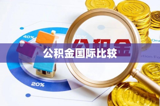 萨尔图公积金国际比较