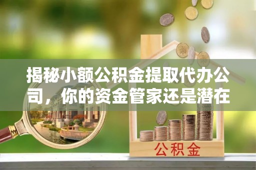 萨尔图揭秘小额公积金提取代办公司，你的资金管家还是潜在风险？