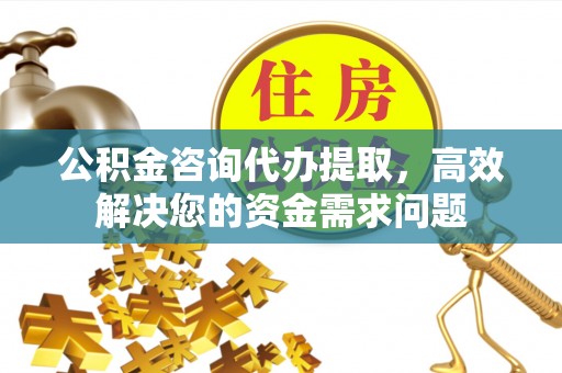 萨尔图公积金咨询代办提取，高效解决您的资金需求问题