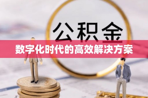 萨尔图数字化时代的高效解决方案