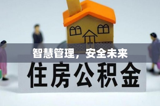 萨尔图智慧管理，安全未来