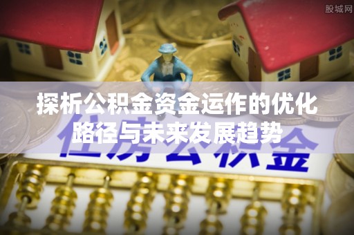 萨尔图探析公积金资金运作的优化路径与未来发展趋势