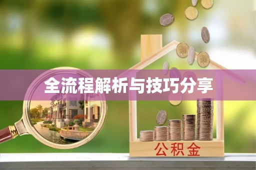 萨尔图全流程解析与技巧分享