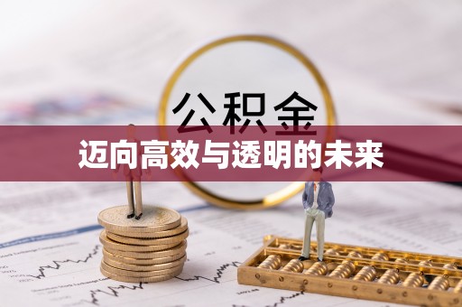 萨尔图迈向高效与透明的未来