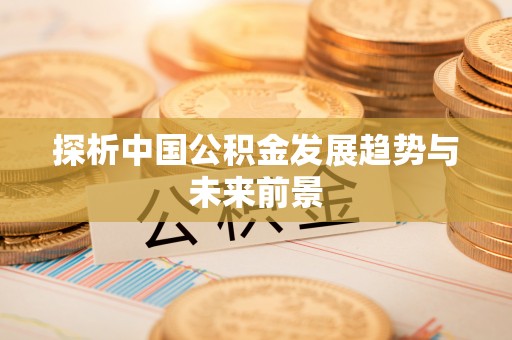 萨尔图探析中国公积金发展趋势与未来前景